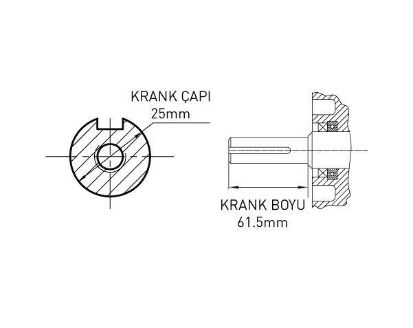 DİZEL MOTOR 11 hp